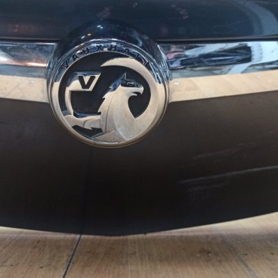 Дверь багажника Opel Insignia 2009 хетчбэк 5-ти дв. - изображение 12