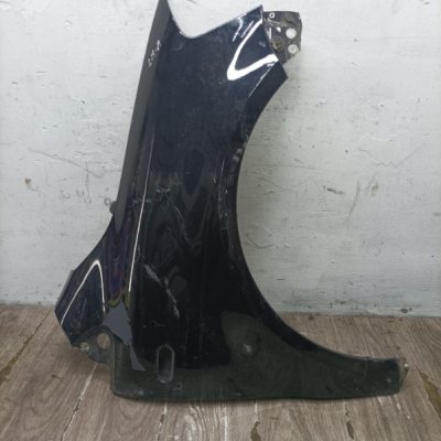 Крыло Volkswagen Fox 2007 BMD хетчбэк 3дв., Перед., Прав.