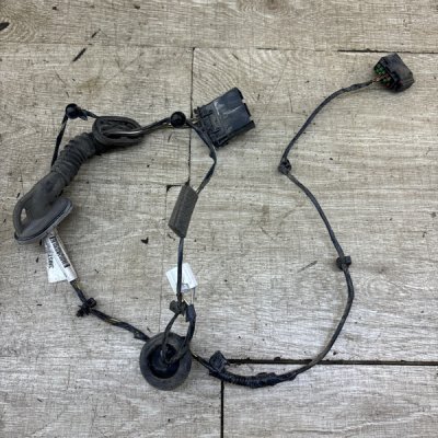 Проводка двери Ford C-MAX 2005 AODA минивен, Задн., Лев.
