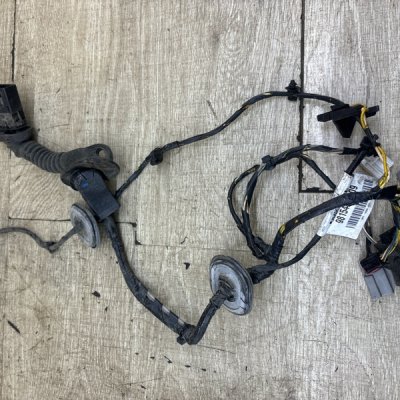 Проводка двери Ford C-MAX 2005 AODA минивен, Перед., Лев.