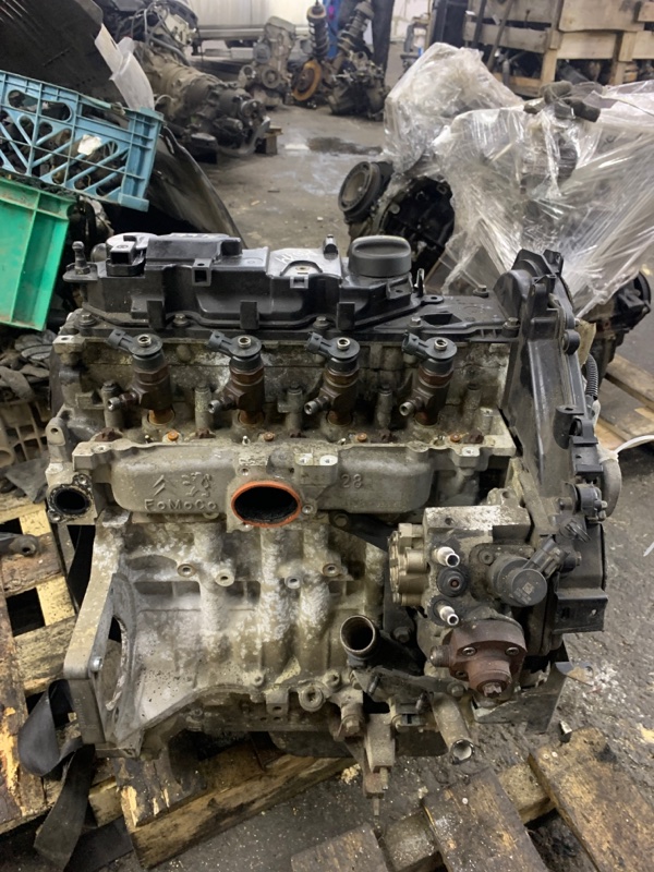 Двигатель Ford Fiesta 6 2009 KVJA