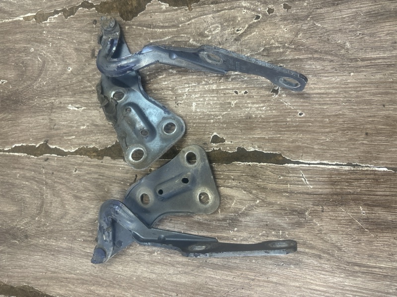 Петля капота Opel Astra G 1999 хетчбэк 5дв. X16XEL 1.6