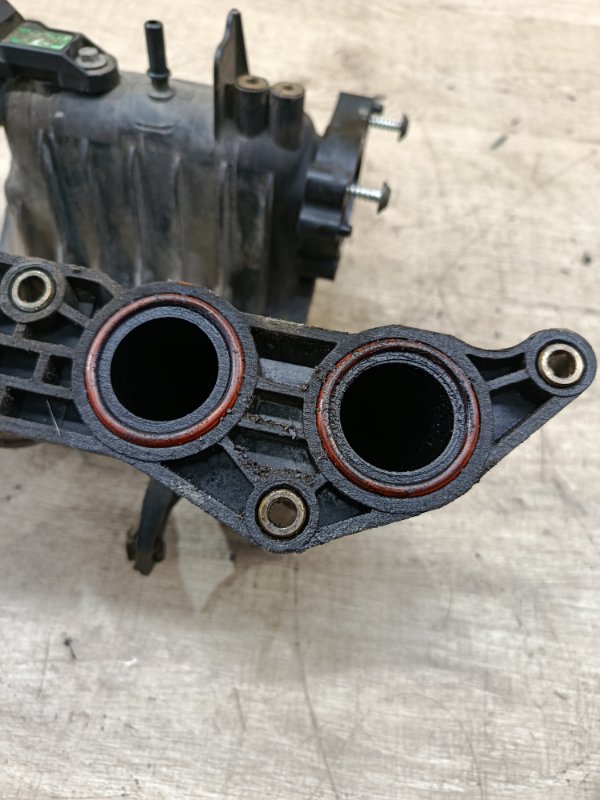 Коллектор впускной Peugeot 206 2002 хетчбэк 3дв. HFZ (TU1JP)