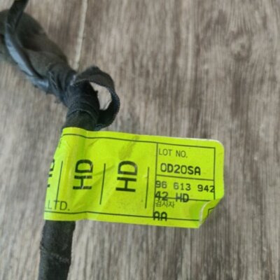 Проводка двери Chevrolet Lacetti Klan 2010 хетчбэк 5дв. F14D3 Задн. Прав. - изображение 2