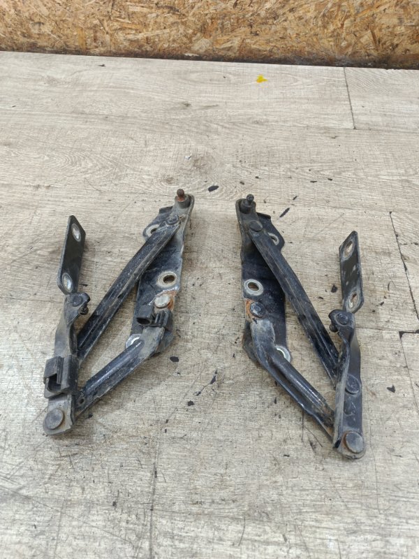 Петля капота Opel Vectra B 2000 седан 4дв. X16XEL 1.6